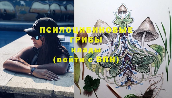 соль курить ск Ельня