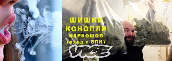 индика Елизово