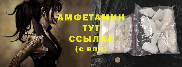 индика Елизово