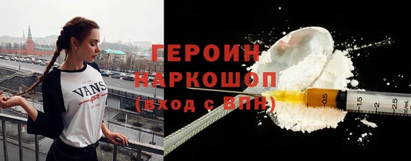 индика Елизово