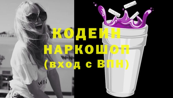 индика Елизово