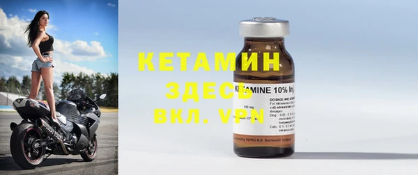 индика Елизово