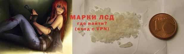 индика Елизово
