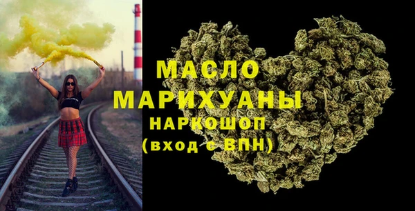 индика Елизово