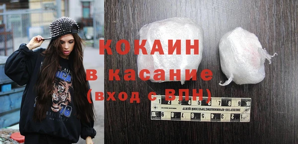 индика Елизово