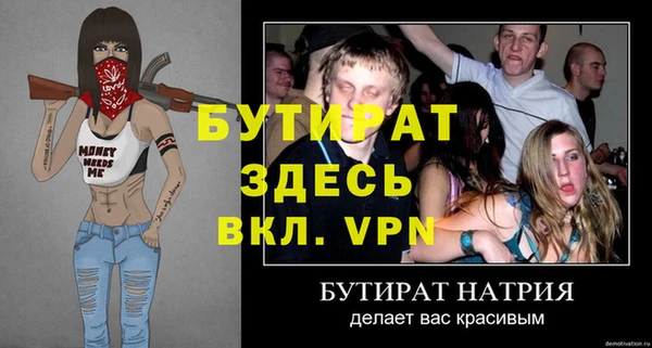 индика Елизово