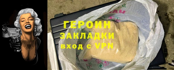 индика Елизово