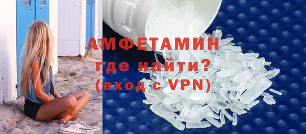индика Елизово