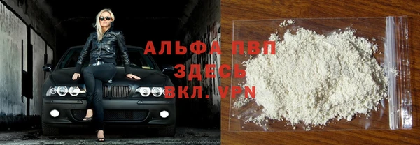 индика Елизово