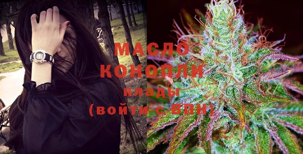 индика Елизово