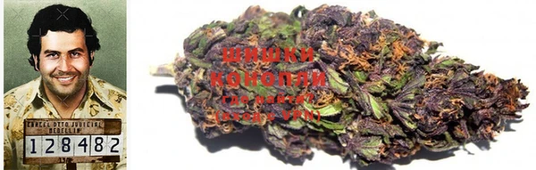 индика Елизово