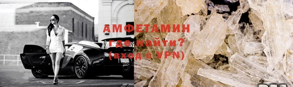 индика Елизово