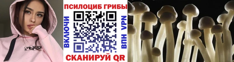даркнет сайт  Сасово  Галлюциногенные грибы ЛСД 